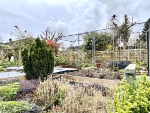 Garden- click for photo gallery